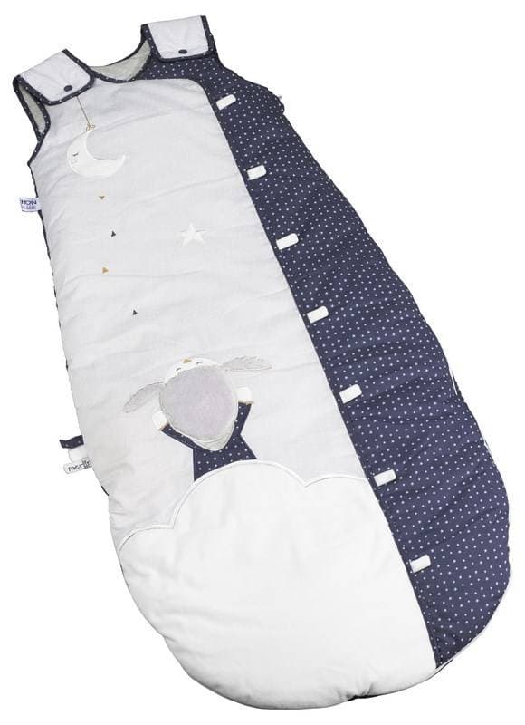 Grande Gigoteuse Ouatinee Reglable Merlin, merlin sauthon baby deco bleu/blanc 424 mois per