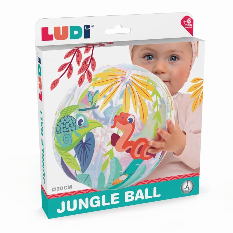 Jungle Ball, ludi 25/01 — vue 5 sur 5